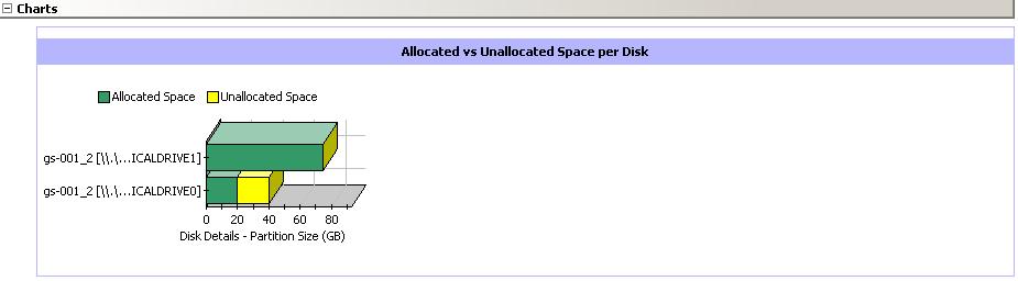 STORAGE DEVICES Summary information at the Storage Devices level include charts for Allocated Vs Unallocated space per disk. Each Physical Drive in turn displays charts for Partition Capacity.
