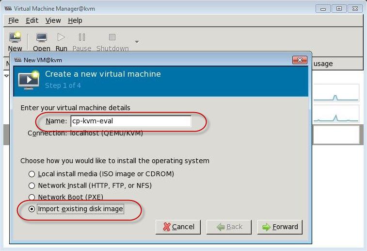 On the Step 1 of 4 page, enter a name for the new virtual appliance in the Name field and select the