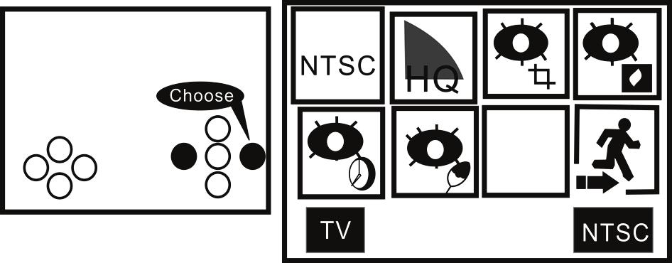 NTSC/PAL Setup (1) Press MENU to enter system