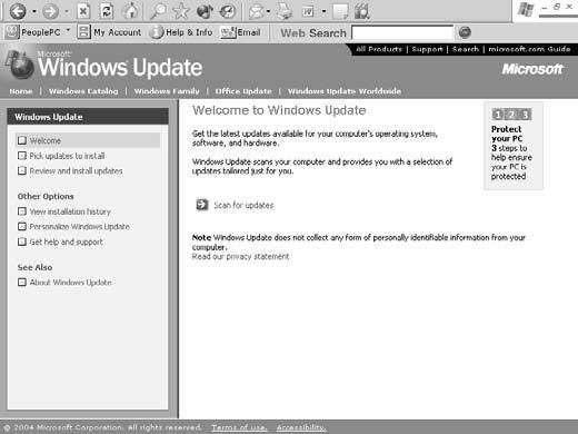 In the resulting window, click the Review and Install Updates link. 4.