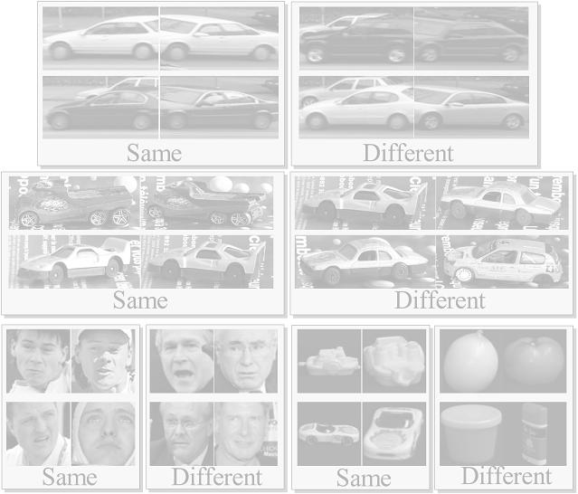 Datasets Ferencz et al: cars