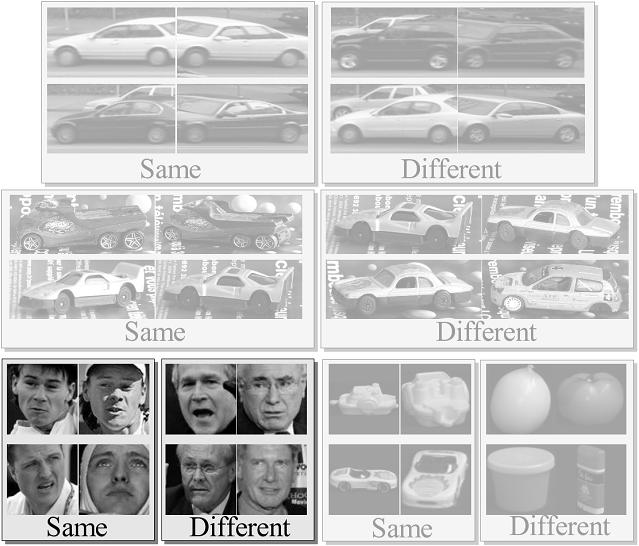 100 Learning Visual Similarity Measures