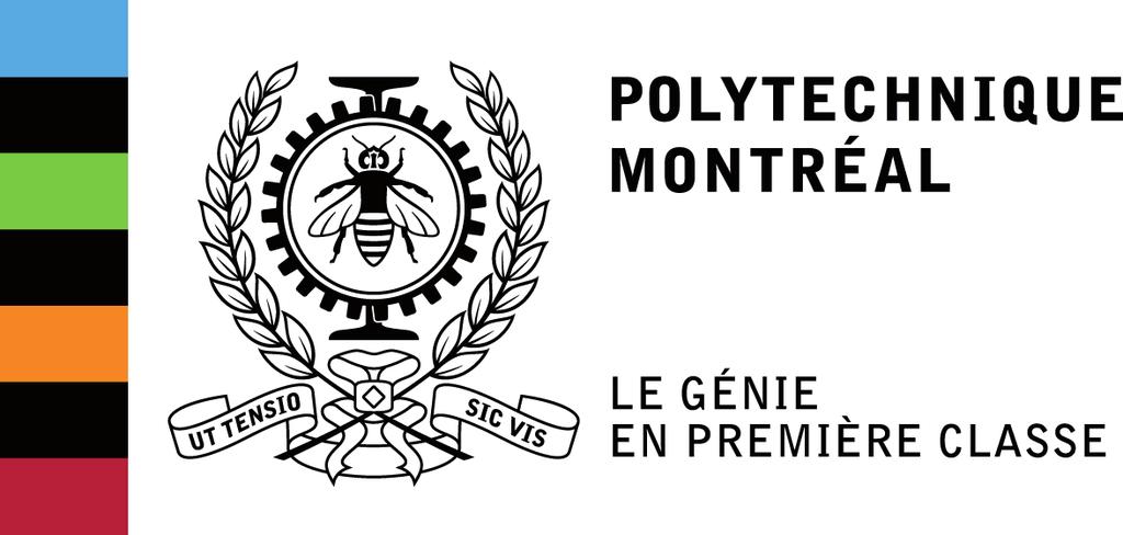 Guy Desaulniers Professor, Polytechnique Montréal, Canada Director,