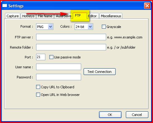 6. The FTP settings: a. These settings should be used if you intend to output your captures to the Web (FTP) b.