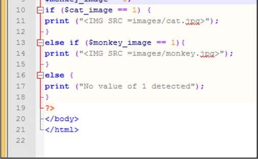 1) { print ("<IMG SRC =images/cat.