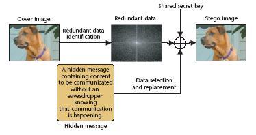 The Figure-1 shows the Information hiding system.