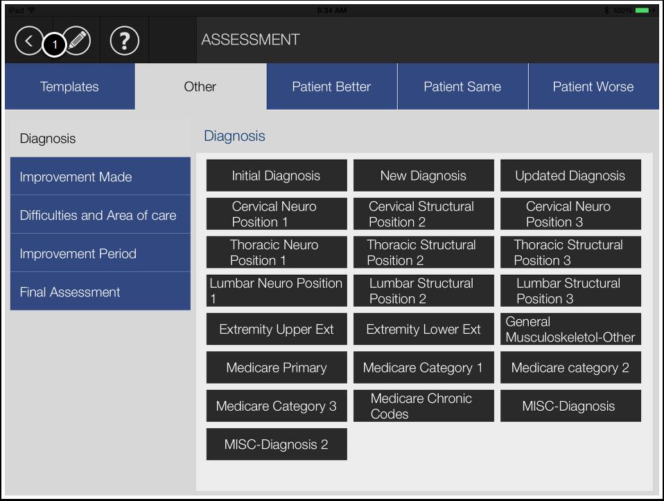 ASSESSMENT Other With the ASSESSMENT Other section if you have already chosen a diagnosis in the template section you will not need to use the Diagnosis button. You will begin with Improvement Made.