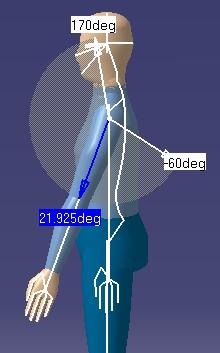 Direct Kinematics Page 43 This procedure describes how to manipulate manikin segments. When you select the Edit Angular Limitations icon or the Edit Preferred Angles icon a blue arrow is displayed.