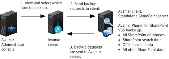 Introduction Data Domain system support You can store backups with the Avamar Plug-in for SharePoint VSS or the Avamar Plug-in for SQL Server on either the Avamar server or on an Data Domain system.
