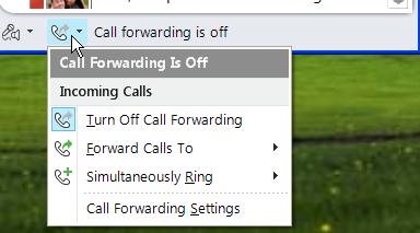 Forward Calls You can send calls straight to voicemail or to another number