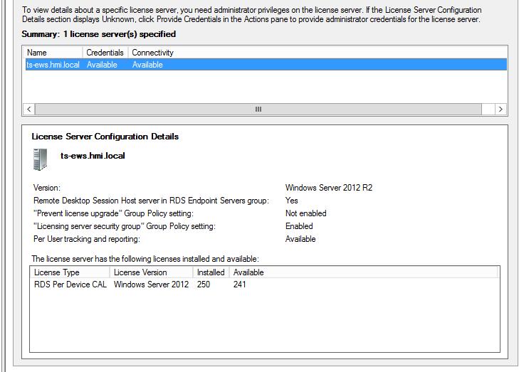 The license server entry can be selected to see further