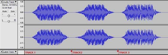 In this three track example, the final break up is shown in Figure 15: Figure 15: Completed Track Names Example ADDITIONAL NOTES: There are many different ways to edit your file.