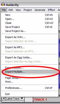 Export Tracks to Separate Files This section explains how to export your separated files to WAV format so you could burn to a CD.