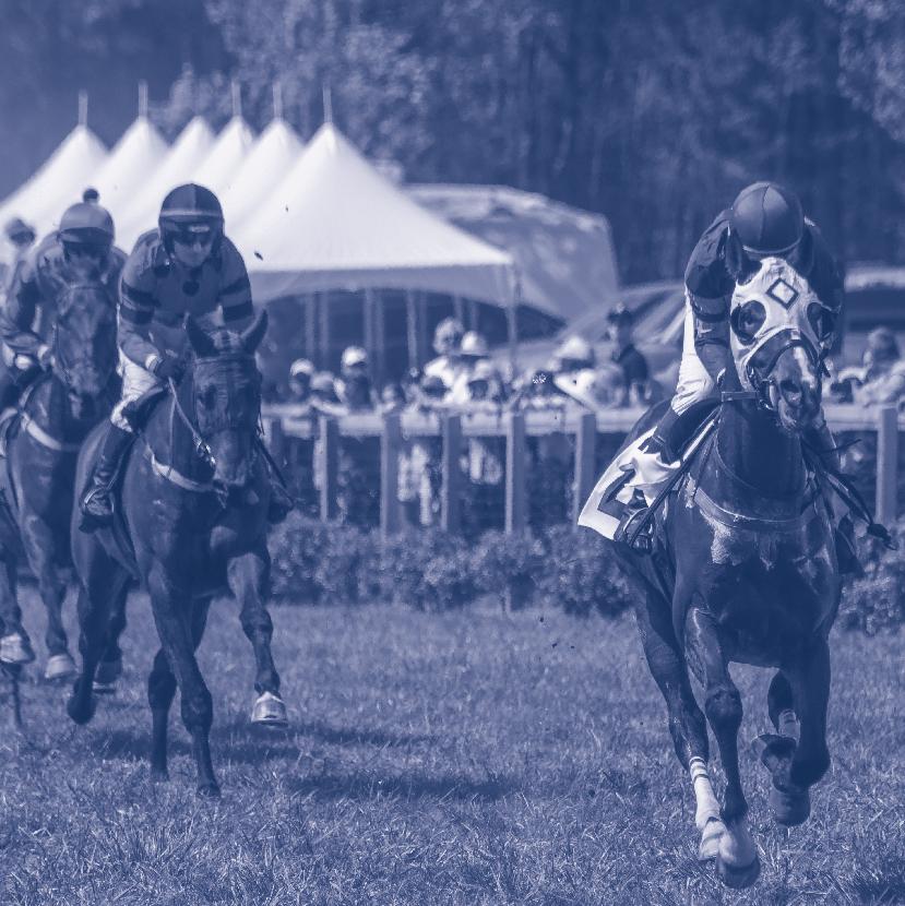 Within three days PANGAEA Internet installed a 1GB connection for the Tryon International Equestrian Center s (TIEC s) new steeplechase location, which