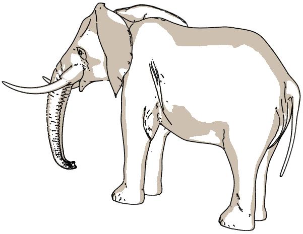 Figure 5: Suggestive Contours on Elephant with Toon Shading with respect to the dot and cross products between the view vector and principal directions at the vertices.
