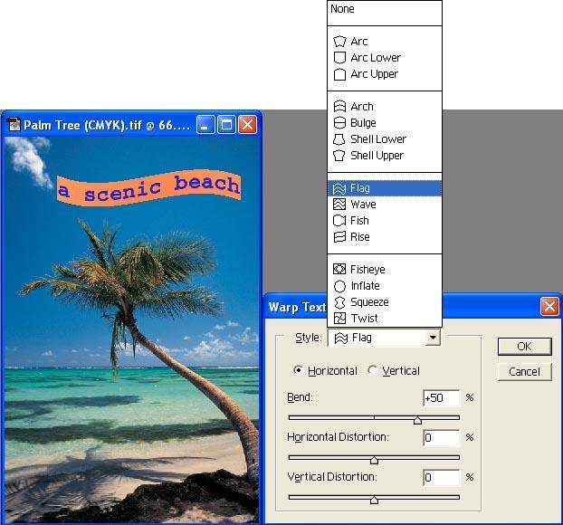 Adding text to images Text Warp: Text Warping allows the user to customize the appearance of text and