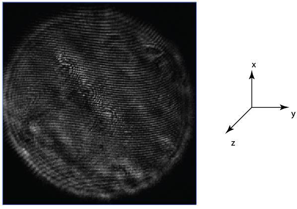 63 Figure 19: The original interference pattern of novel inversion shear interferometer.