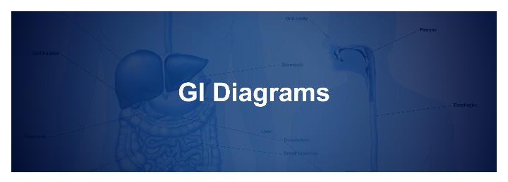 1 1 Use the App to view a variety of anatomical GI Diagrams, and
