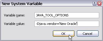 In the resultant New System Variable dialog, create a new variable with the following information: Variable name