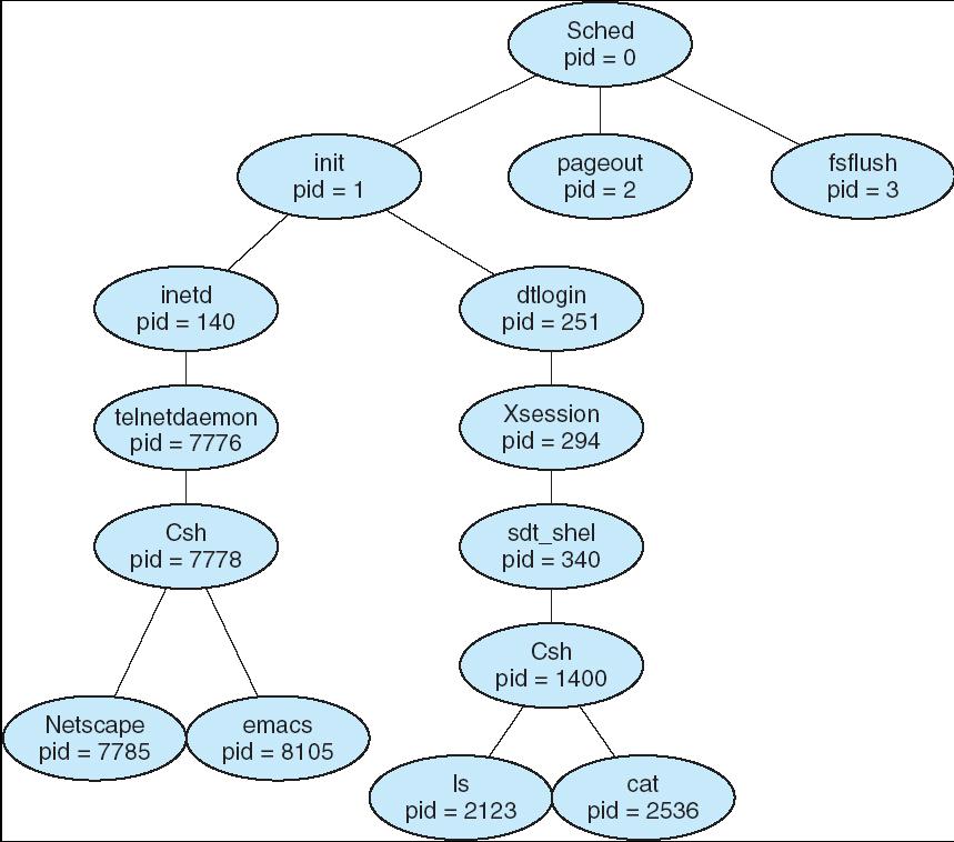 A tree of processes