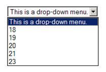 Drop Down Menu is a menu of commands or options that appears when you select an item with a mouse.