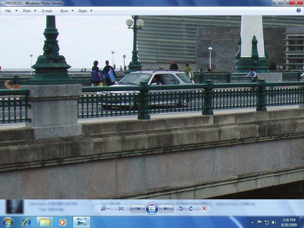 10. Click the Next button again to move to the photo of the bridge. Click the Actual size button.