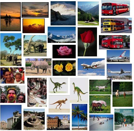 Fig 4.Sample Images from Generic Image Database [Image database contains total 1000 images with 11 categories] Fig 5.