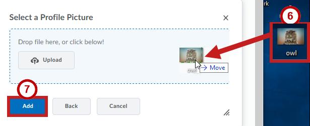 5. The Select a Profile Picture window appears. Click My Computer. Figure 15 - Select a Profile Picture Window 6.