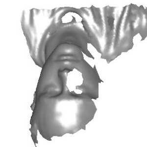 Databases 4.1.1 Combined UND Databases To evaluate the performance of UR3D-S a combination of the largest publicly available 3D face and ear databases was used.