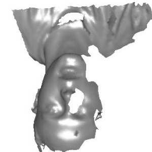 For side facial scans, the Ear Database from the University of Notre Dame (UND) [50], collections F and G were used.
