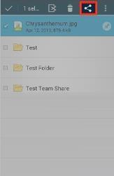 2. In the My Files screen, select the file or folder that you want to share, and press the Share button. 3. In the Choose a share type window, select Public share to send a standard share.