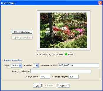 IMPORTANT: Too many images with large file sizes in your lesson may cause your pages to load slowly in the web browser. See the next page to see how to reduce your image size.