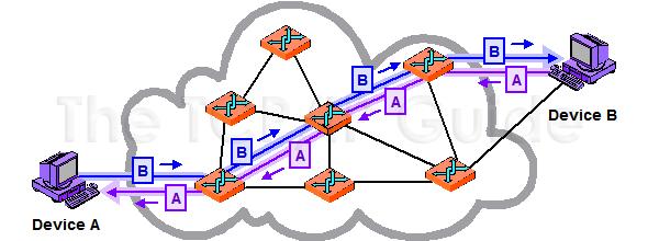 Network & Data Communication (cont,..) 6 Dr.