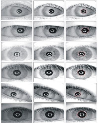 (a) (b) (c) Fig. 7. Examples of correct pupil detection.