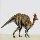 The dinosaur image shown in the Fig.