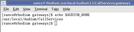 Step On a Linux server, include the following command in the application server's startup script: export AUDIUM_HOME=/usr/local/Audium/CallServices To