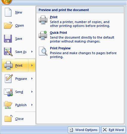 The Office 2007 Interface There are a number of prominent changes to the look and functionality of the Microsoft Office 2007 interface.