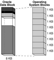 Data Blocks 1.