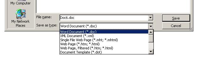 PAGE 15 - ECDL MODULE 3 (USING OFFICE 2003) - MANUAL To save a file in a format other than Microsoft Word format From the FILE drop down menu, click on the SAVE AS command.
