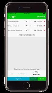 Shopping Cart From within the Shopping Cart, you can manage quantities, add a tip, add a convenience fee and generate quotes and invoices. Select Pay Now when you re ready to process the transaction.