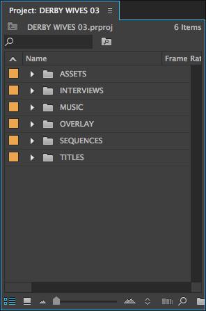 Make new folders in your project folder if necessary i.e. STILLS or MUSIC. 2. In Premiere click: File > Import and select the files you wish to import. 3.