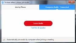 Meeting Options: Audio Options Mute or Unmute Audio Click the microphone icon to mute or unmute your meeting audio.
