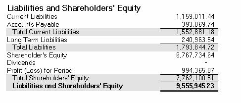 and Shareholders Equity in