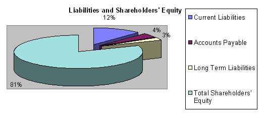 Shareholders Equity as a