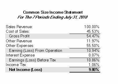 Income Statement Summaries Income Statement Summary in Percentages of Sales Revenue Incsum02.xls Income Statement Summary with Graphs Incsum02.