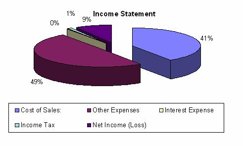 Income Statement Summaries Income Statement Summary as a