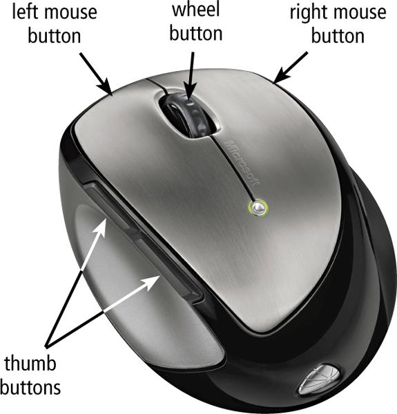 Mouse A mouseis a pointing device that fits under