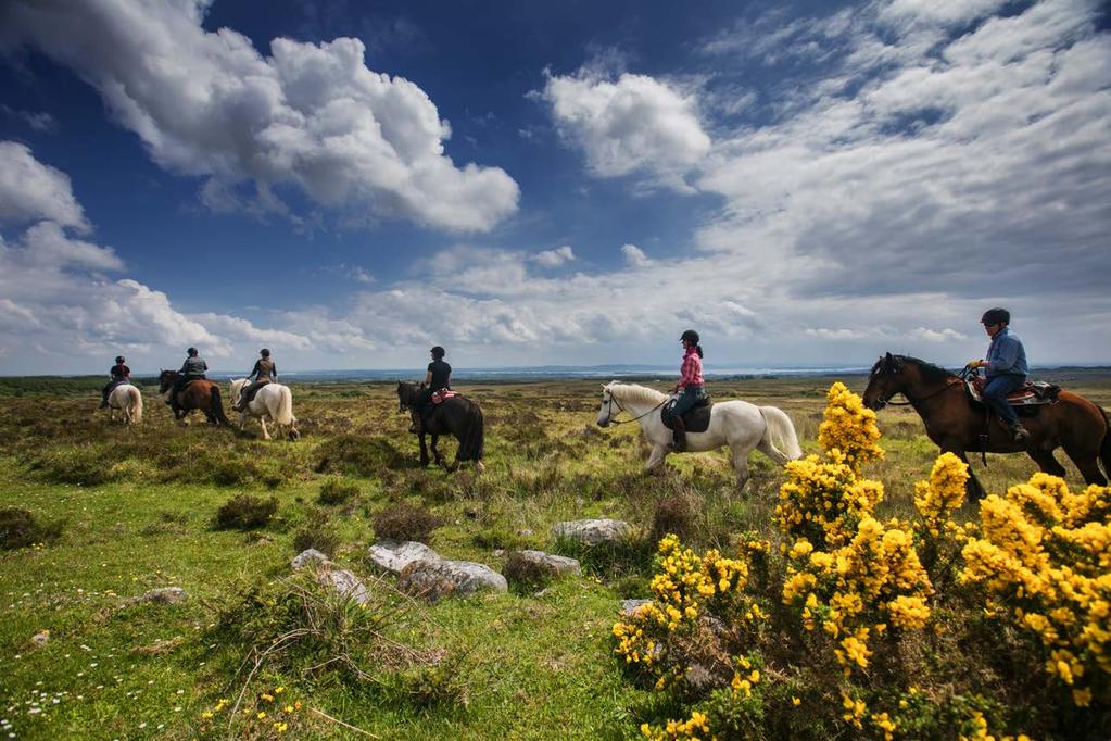 BRAND PROPOSITION Explore the lush green heartlands of Ireland s natural rural beauty.