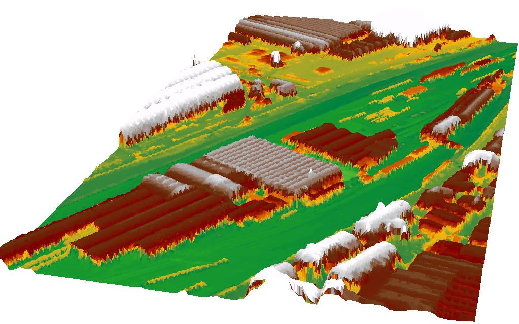 60 F. PRANDI ET AL. Figure 5. Digital surface model generated by image matching. 1 1 meter resolution. process).