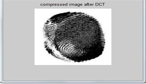 Figure 4.8: Original Input image Figure 4.9: Resulted Compressed Image after DCT Figure 4.